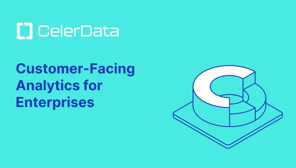 Customer-Facing Analytics for Enterprises